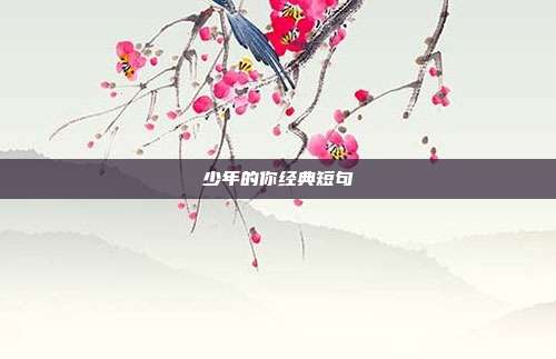 少年的你经典短句