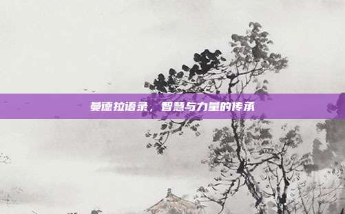 曼德拉语录,智慧与力量的传承