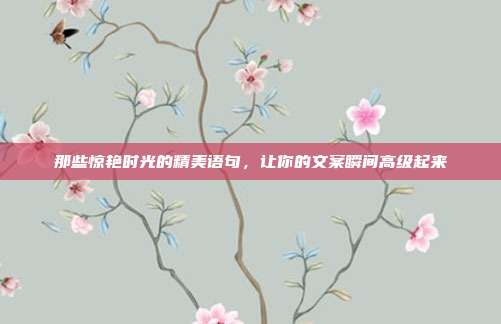 那些惊艳时光的精美语句，让你的文案瞬间高级起来