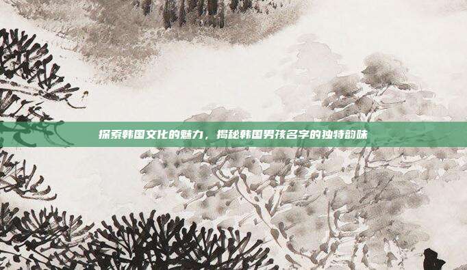 探索韩国文化的魅力,揭秘韩国男孩名字的独特韵味