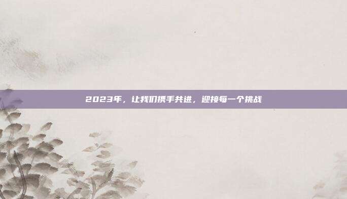2023年,让我们携手共进,迎接每一个挑战