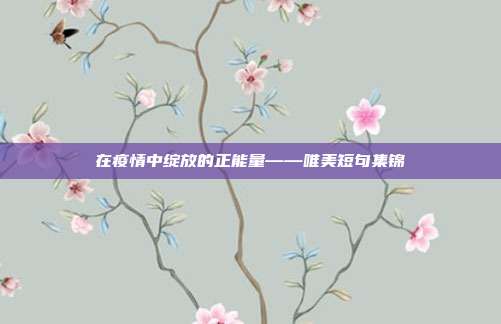 在疫情中绽放的正能量——唯美短句集锦