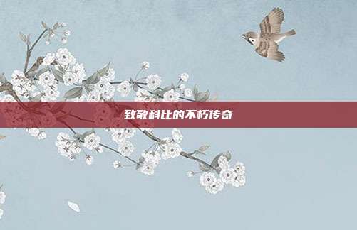 致敬科比的不朽传奇