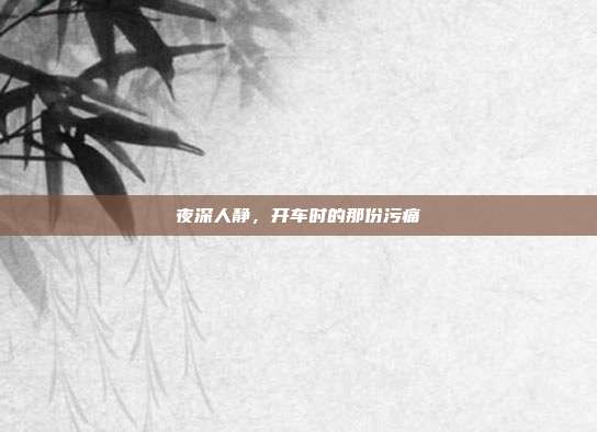 夜深人静,开车时的那份污痛