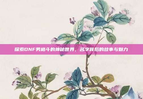 探索DNF男格斗的神秘世界,名字背后的故事与魅力