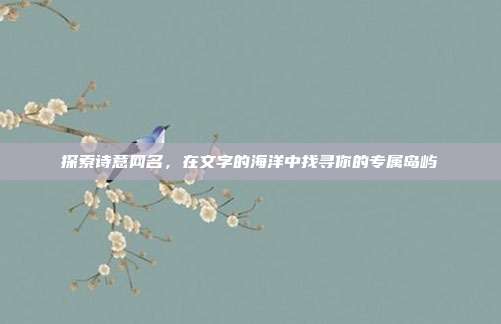 探索诗意网名,在文字的海洋中找寻你的专属岛屿