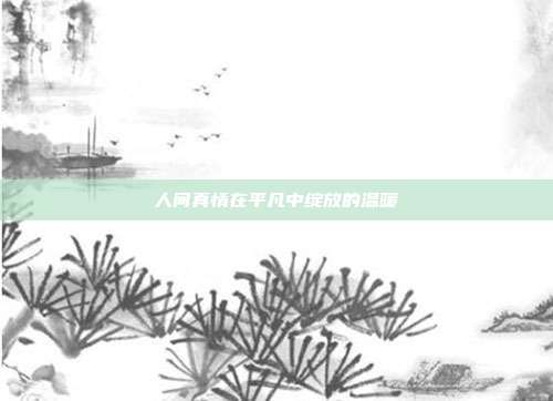 人间真情在平凡中绽放的温暖