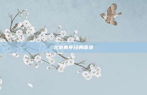 北京青年经典语录