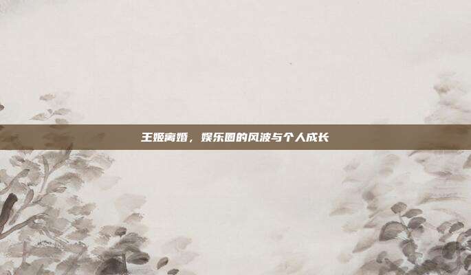 王姬离婚,娱乐圈的风波与个人成长