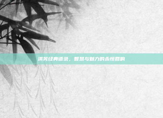 洪晃经典语录,智慧与魅力的永恒回响