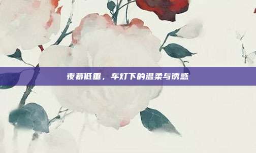 夜幕低垂,车灯下的温柔与诱惑