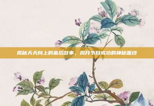 揭秘天天向上的幕后故事,揭开节目成功的神秘面纱