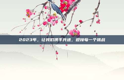 2023年,让我们携手共进,迎接每一个挑战