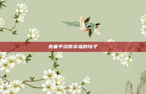 夫妻平淡而幸福的句子