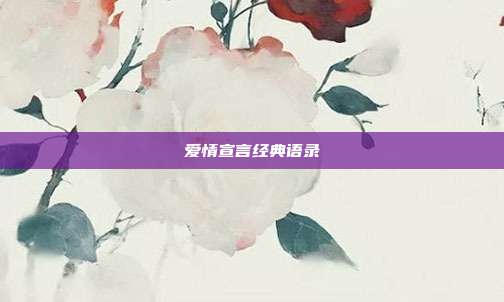 爱情宣言经典语录