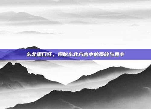 东北粗口狂,揭秘东北方言中的豪放与直率