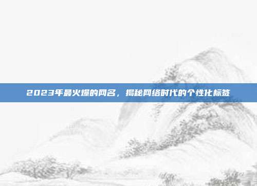 2023年最火爆的网名,揭秘网络时代的个性化标签