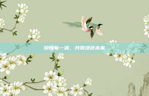 珍惜每一滴,共筑绿色未来