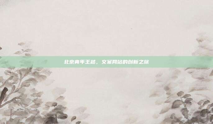北京青年王越，文案网站的创新之旅
