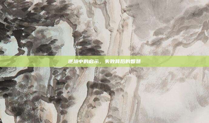 逆境中的启示,失败背后的智慧