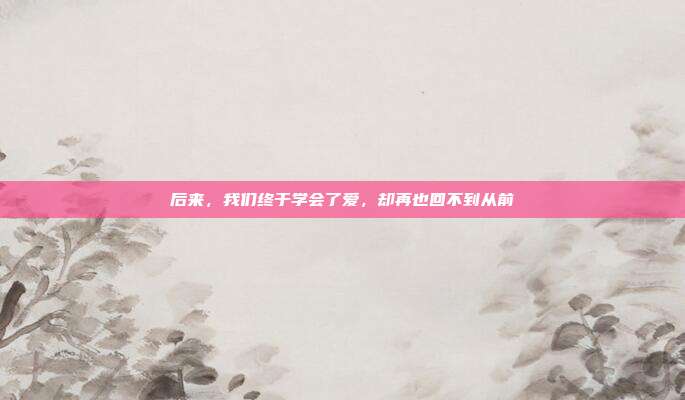 后来，我们终于学会了爱，却再也回不到从前