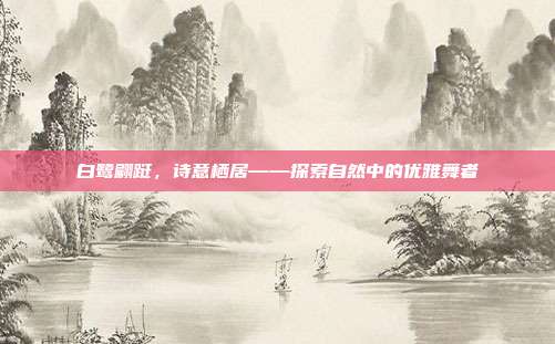白鹭翩跹,诗意栖居——探索自然中的优雅舞者
