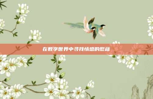 在数字世界中寻找情感的慰藉