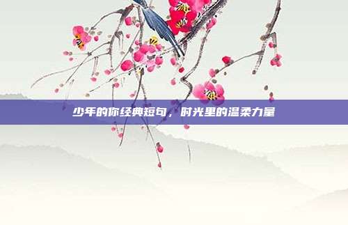 少年的你经典短句,时光里的温柔力量