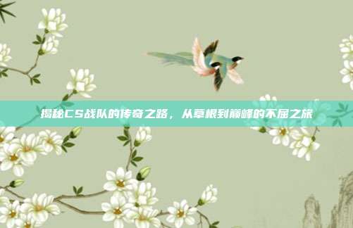 揭秘CS战队的传奇之路,从草根到巅峰的不屈之旅