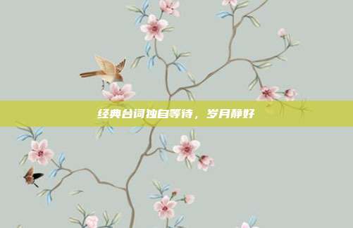 经典台词独自等待,岁月静好