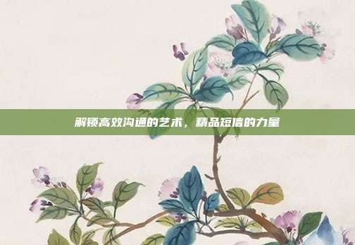 解锁高效沟通的艺术,精品短信的力量