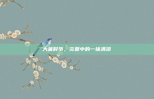 大暑时节,炎夏中的一抹清凉