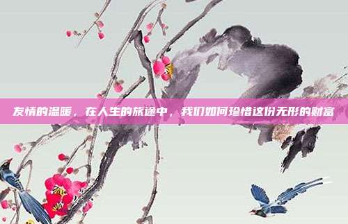 友情的温暖,在人生的旅途中,我们如何珍惜这份无形的财富