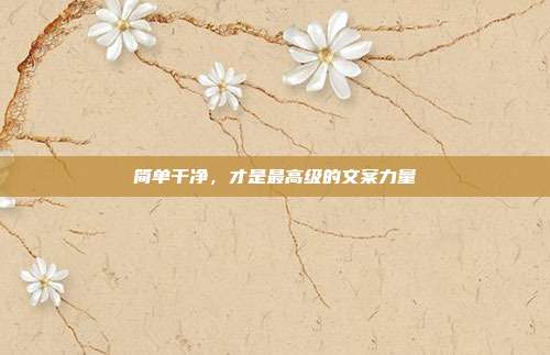 简单干净，才是最高级的文案力量