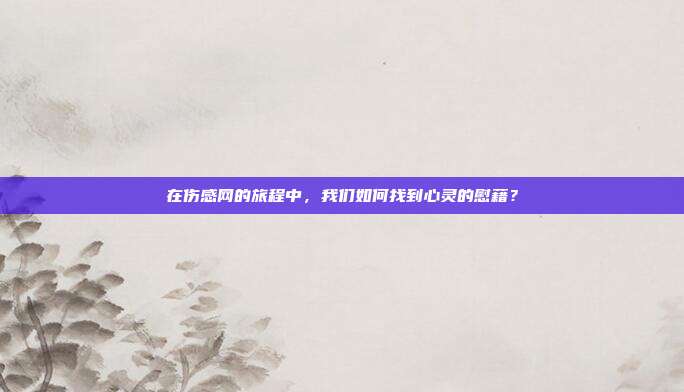 在伤感网的旅程中,我们如何找到心灵的慰藉?