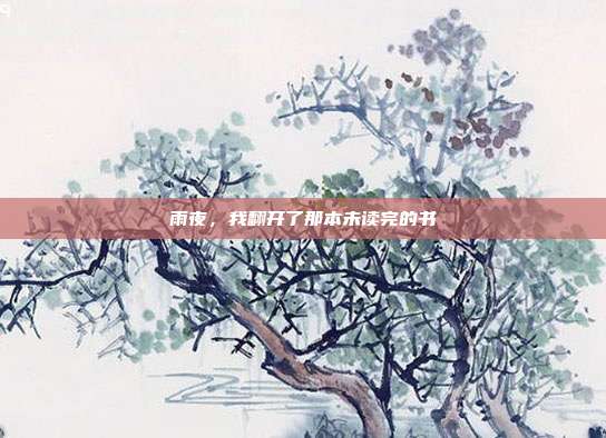 雨夜，我翻开了那本未读完的书