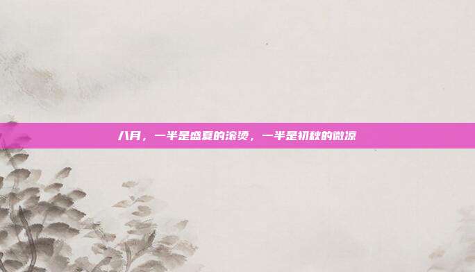 八月，一半是盛夏的滚烫，一半是初秋的微凉